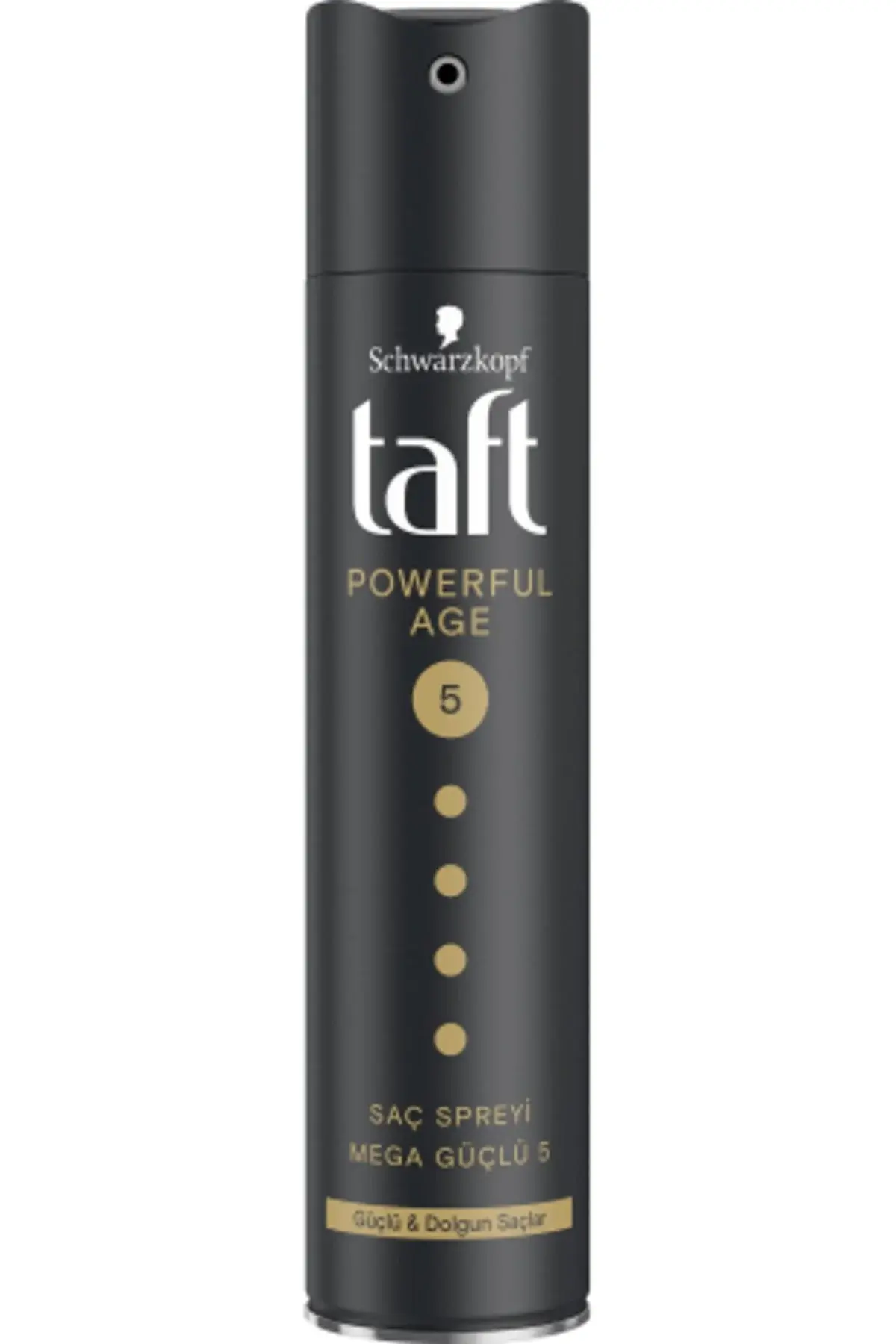 TAFT POWER AGE SAÇ KÖPÜĞÜ