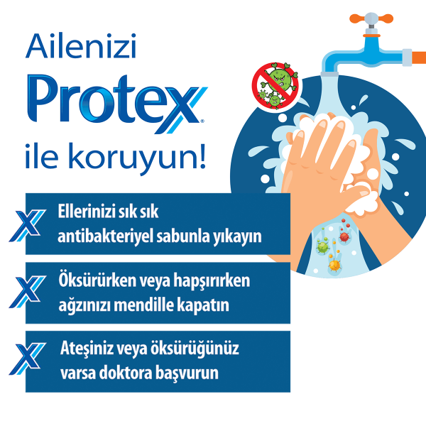 Protex Aleo Sabun 90 g