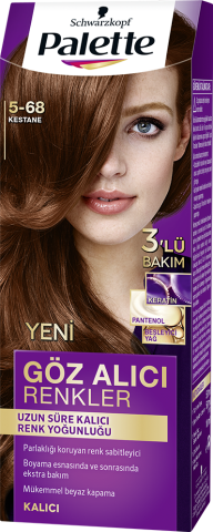 Palette Göz Alıcı Renkler Saç Boyası 5-68 Kestane