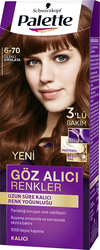 Palette Göz Alıcı Renkler Saç Boyası 6-70 Çilekli Çikolata