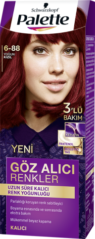 Palette Göz Alıcı Renkler Saç Boyası 6-88 Yoğun Kızıl