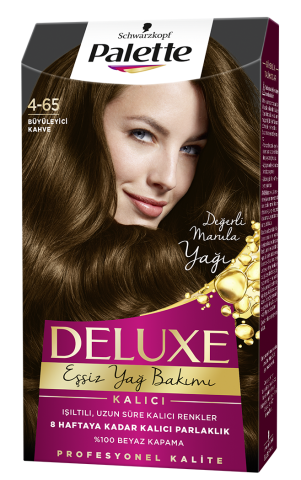 Palette Deluxe Saç Boyası 4-65 Büyüleyici Kahve