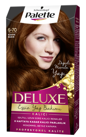 Palette Deluxe Saç Boyası 6-70 Kahve Bakır