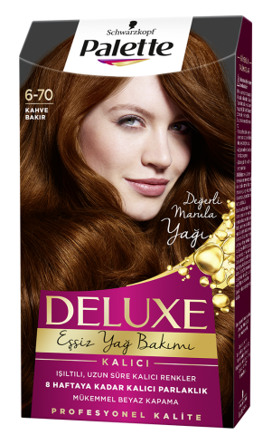 Palette Deluxe Saç Boyası 6-70 Kahve Bakır