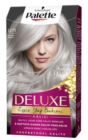 Palette Deluxe Saç Boyası U71 Buzul Grisi