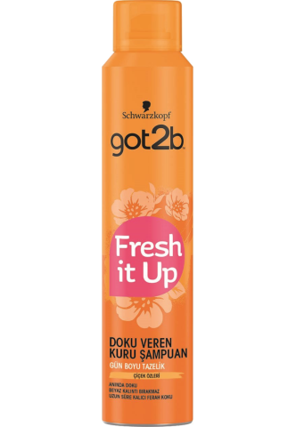 Got2b Texture Kuru Şampuan 200 ml